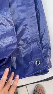 Terpal Plastik A2 uk 6x8