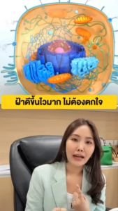 Y8 Solanox โซลาน็อก อาหารเสริม (30แคปซูล 2กล่อง) สารสกัดสำคัญ TETRA SOD® PHYTOCERA™ POMANOX™