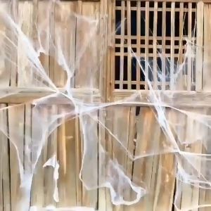 Big Party 🎃🎃(จัดส่งจากกรุงเทพฯ) ปลีก/ใยแมงมุมสีสันสดใสฮาโลวีน อุปกรณ์ตกแต่งปาร์ตี้วันหยุดสยองขวัญ เค้าโครงฉากหนีห้องผีสิง ตกแต่งวันฮาโลวีน ตกแต่งฮาโลวีน - Lazada