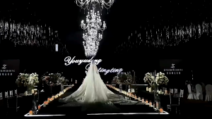 LED modern crystal ceiling lamp chandelier living room creative wedding room bedroom fireplace