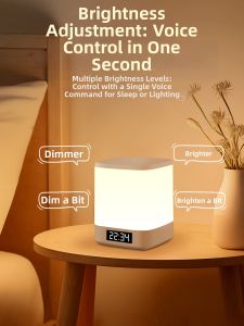 Voice Controlled Smart Night Light