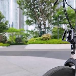 Giá Đỡ Túi Xe Đạp Gấp Bằng Thép Bộ Chuyển Đổi Gắn Túi Cho Xe Brompton Dahon - Phụ Kiện Gắn Túi Xe Đạp