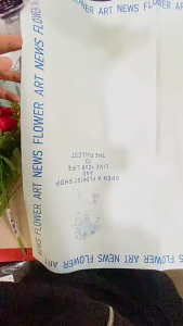 20 LEMBAR Kertas Buket Bunga Cellophane News Flower Wrapping Paper KB112