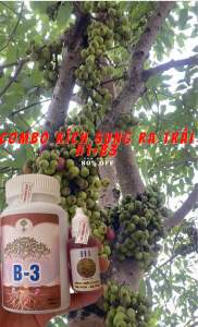 H1 b3 kích sung ra trái