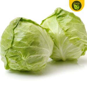 100 seeds for planting binhi pantanim cabbage repolyo