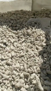 Premium Natural Coral Stone 500G – High-Purity Coral Bones for Aquascaping Ideal for Fresh & Saltwater – Promotes Stable pH & Biofiltration