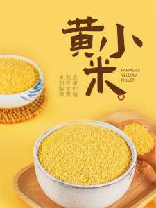 Yellow Millet | Natural Whole Grain | High Fiber & Protein | Gluten-Free | Healthy Superfood | 养生健康全谷物