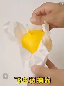 OHHDEER Fruit Fly Trap Fruit Flies Sticky Fruit Fly Ball Multifunction Catcher Flies Citrus Shape