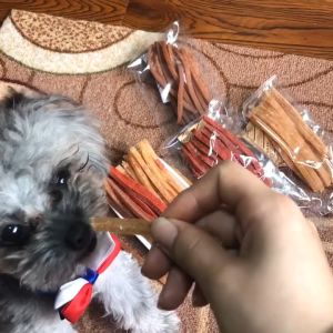 เส้นเลือด สันในไก่เส้นอบแห้ง ขนมสัตว์เลี้ยง ไก่เกรด 100kg ไม่ผสมแป้ง