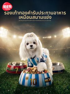 hipidog | Automatic Drinking and Cervical Protection Cat and Dog Dual Bowl Slow Feeding Food and Water Basin