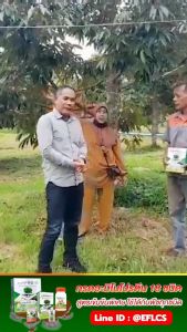 ชุดพิเศษ18แถม2กล่องเพียง16200 บาท จากราคา 21600 บาท แอมโปร18(ชนิดผง) ชนิดเข้มข้นกว่าท้องตลาดถึง5เท่า ใช้ได้กับพืชทุกชนิด