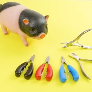 Stainless Piglet Teeth Cutter & Pig Tooth Nipper Forceps: A Comprehensive Guide