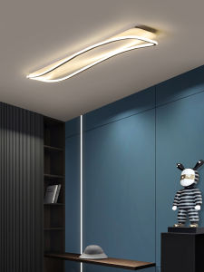 Designers Light | Creative Luxury Modern Simple LED Entrance Light
