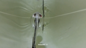 For Insta360 X5 60M Invisible Diving Case 60M Panoramic Camera Waterproof