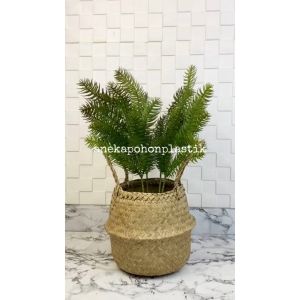 Tanaman Hias Daun Pinus Cemara Tangkai X4 Latex Artificial Cover Anyaman Purun Belly Dekorasi Pajangan Ruangan Rumah