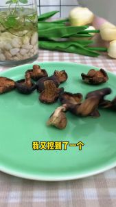 Kang He Dried Shiitake Mushroom Chips/ 康赫 香菇脆 / 香菇干// 蔬果干 / 健康零食 / 网红零食 / 零食网红/Snacks/中国小吃零食/酸奶块/Dried Mushroom / Healthy Snack