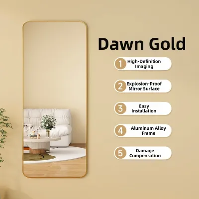 Self-Adhesive Hanging Full Length Mirror
