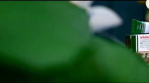 Kem Bôi Giảm Nhiệt Miệng Trinolone Oral Paste Thái Lan 5g