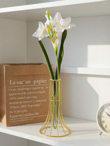 Creative Vase For Hydroponic Plants Decoration