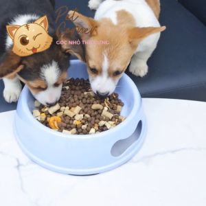 Hạt mix cao cấp cho cún trộn thịt bò gà tôm cá lòng đỏ trứng rau củ quả - Thức ăn hạt cho chó kén ăn