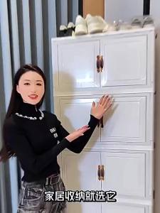 Foldable Multi-layer Large-capacity Storage Cabinet