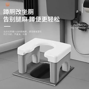 Squat Toilet to Seat Converter Accessory