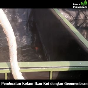 Plastik HDPE Geomembran 300 micron 6 x 21 meter untuk kolam / tambak