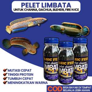 Pelet ikan gachua limbata kemasan botol 50gram 2mm rekomended buat ikan bleheri fire and ice gachua