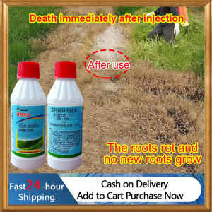 One Drop Rots Tree Roots Tree Killer 200ml Concentrated Formula Racun Pokok Kayu Besar Kill Big Trees Weeds Bamboo Racun Pokok Paling Kuat Racun Rumput Mati Akar Racun Rumput Paling Kuat Cepat Mati 除草剂 Grass Killer Weed Killer