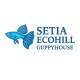 SETIA Ecohill (Premium AquaHouse) Guppy | Molly