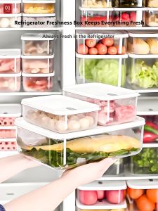 Food-Grade Freezer Storage Plastic Seal Containers