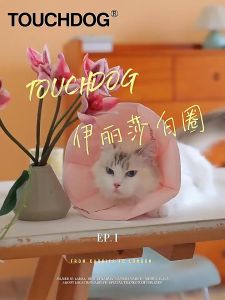 Vòng cổ dán bằng vải nhồi bông chống liếm cho thú cưng - Tiệm Mèo Moa