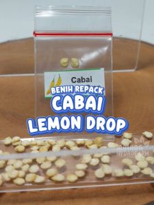 Benih Cabai Lemon Drop Unggulan Berkualitas biji bibit repack Aji Limo cabe kuning hias unik citrus hydroponik hidroponik tanaman berbiji pot