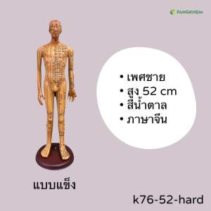 หุ่นจำลองจุดฝังเข็ม ขนาด 52 54 62cm หุ่นจำลองฝังเข็มได้ งานละเอียดพิเศษ Acupuncture Model By Fangkhem