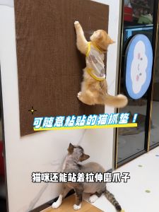 Multi-Functional Cat Climbing Pad Wall Sticker Wear-Resistant Corner Pet Grooming Tool Cat Scratching Board Easy to Cut And Paste