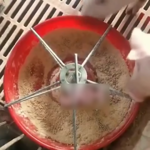 304 Stainless Steel Piglet Feeder Trough Livestock Pig Sow Feeder Farming Equipment