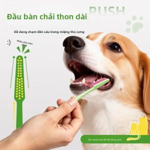 Bộ 2 Bàn Chải Đánh Răng Lông Mềm Cho Mèo & Chó - Đầu Nhỏ Cán Dài Chống Mảng Bám Bảo Vệ Nướu Góc Cạnh Linh Hoạt Chăm Sóc Răng Miệng