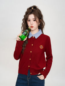 Korean Style Long Sleeve Polo Collar Knitted Shirt Womens Base Layer Top Fashionable Commute Wind Regular Fit Button Detail