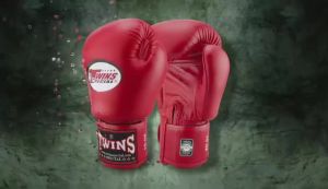 Twins Special BGVL3 Velcro Premium Muay Thai/Boxing Gloves - High-Quality Training Equipment in Multiple Colors