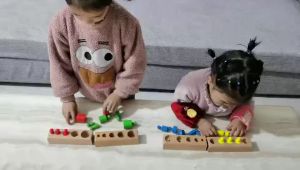 Set of 4pcs Knobbed Cylinder Blocks Kids Montessori Educational Toys / wooden socket/ Knobbed block/ Early Math