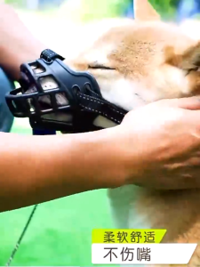 Pet dog mouth sets adjustable Muzzle Basket Anti-Biting Mouth Cover Dog Adjustable
