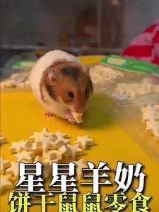 Tafit | Thức Ăn Dinh Dưỡng Cho Hamster