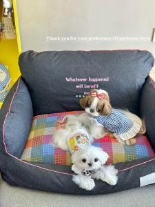 Original Sweet Apricot Denim Pet Sofa Bed Detachable Washable Dog Cat Nest Cushion Included Warmth Organic Cotton Surface