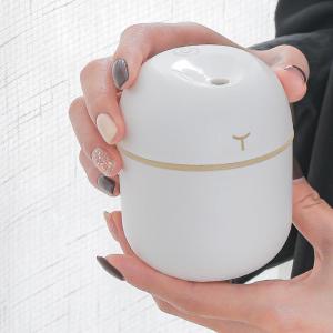 NPC | Car Air Purifier and Humidifier