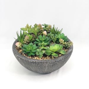 สวนกระบองเพชรปลอม สวนแคคตัสปลอม ต้นไม้สวนถาดประดิษฐ์