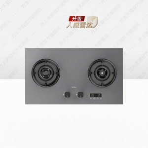 Advanced Timing Safety Gas Stove Twin Burners