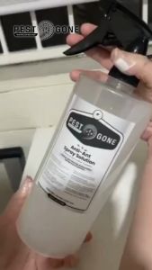 Pest Gone Anti Ant Langgam Spray Solution 500 ml in Sprayer Bottle Ant Killer Ant Bait  Odorless Ant Repellent