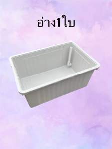 อ่างเลี้ยงปลาสีขาว 65ลิตร ระบบน้ำล้น อ่างเลี้ยงปลา Overflow อ่างเลี้ยงปลาบอลลูน อ่างเลี้ยงปลาหางนกยูง