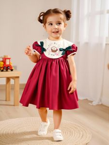 Girls Lovely Sweet Summer Short Sleeve Embroidery Dress Fashion Doll Neckline Casual Daily Wear