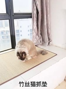 🔥 Cat Scratching Pad Anti-scratch Extra Large Sofa Protector Cat Sisal Mat 猫抓垫